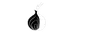 TOR